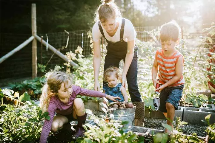 Gardening activities for 3 year old