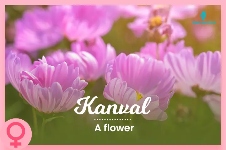 Kanval, beautiful Kashmiri names