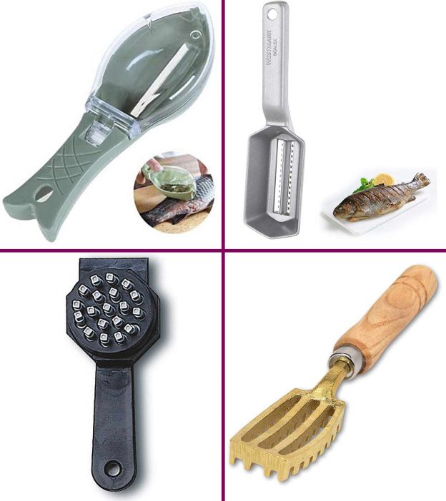 11 Best Fish Scalers For An Easy Clean In 2022