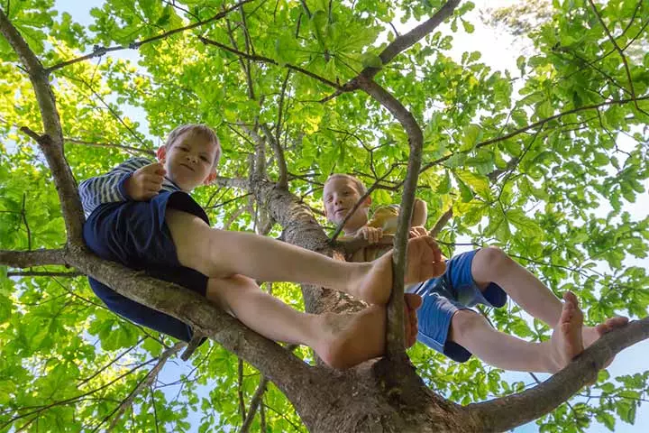 Why Did They Take The Barefoot Approach