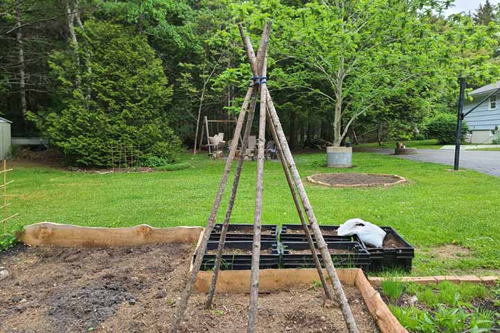 Spring bean pole teepee activities for kids