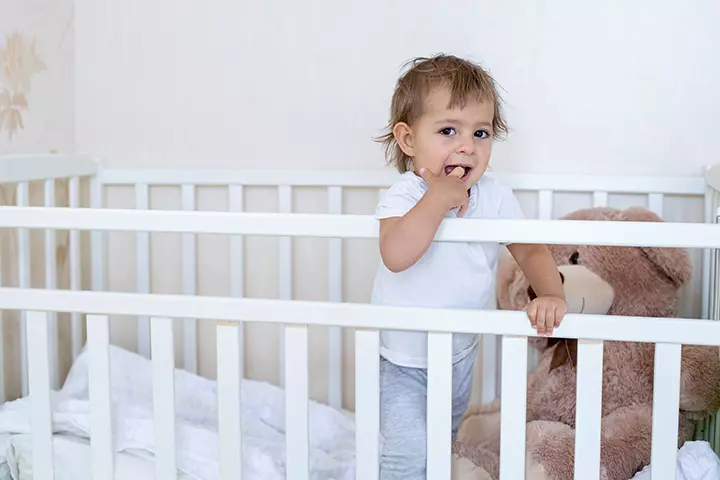 Bed Protector