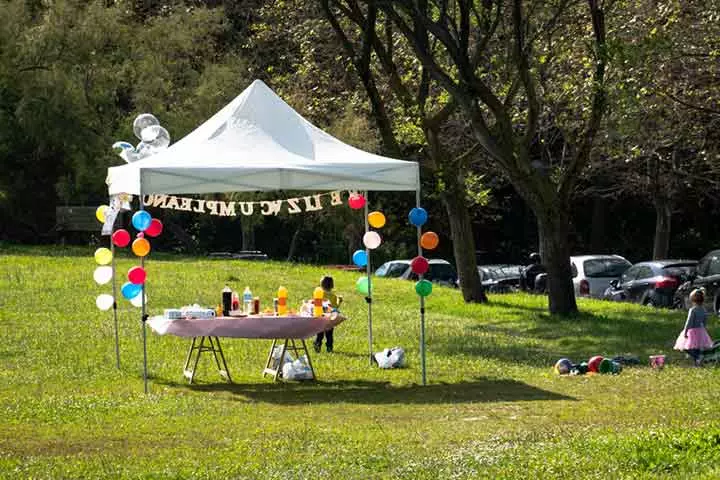 Canopy, tea party ideas for kids