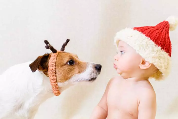 Pose with the pet, newborn photo ideas