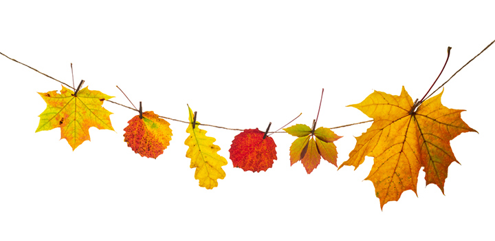 Leaf hangings fall crafts for kids
