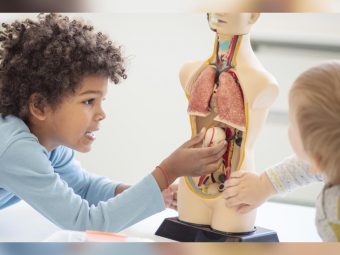 Human Body For Kids: Facts, Diagram, Parts, And Functions