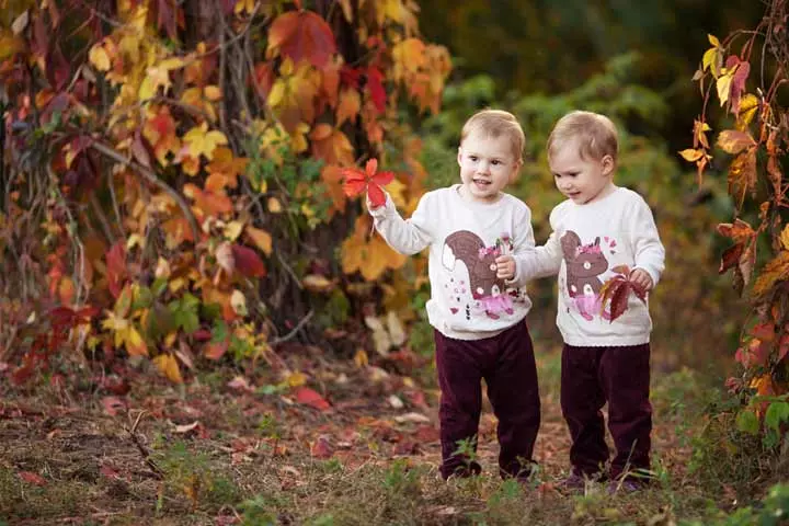 Measuring Leaves