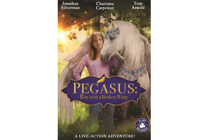 Horse movies for kids, Pegasus pony with a broken wing