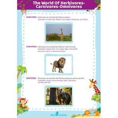 Herbivores, Carnivores, Omnivores Worksheet For Kids