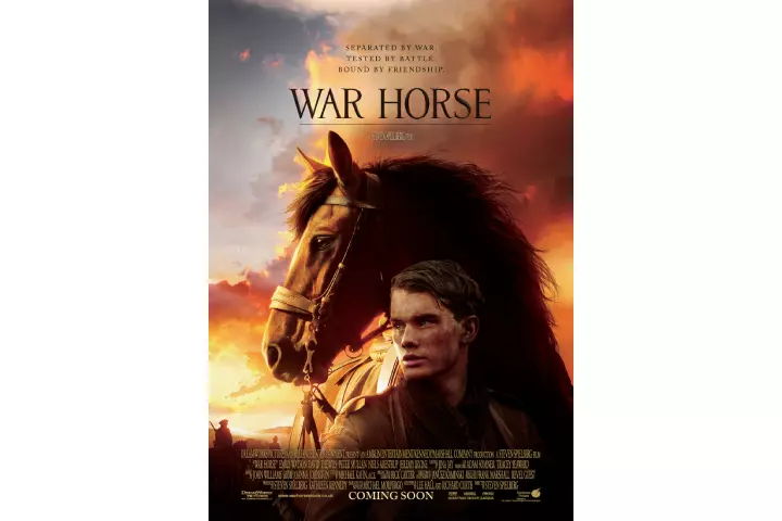 War Horse