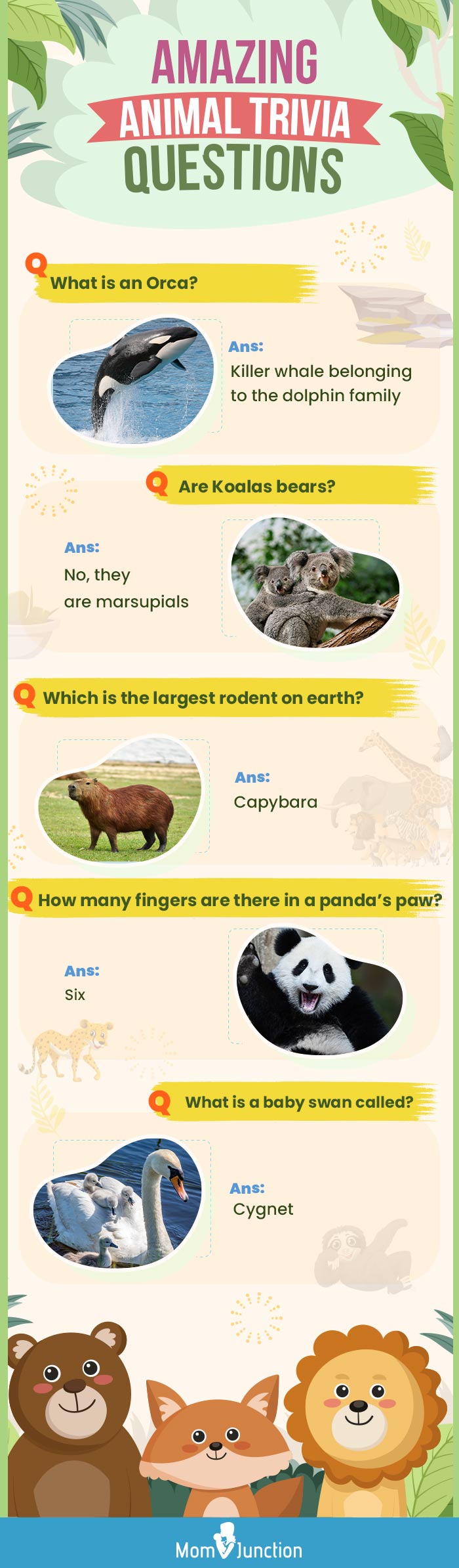 animals trivia questions for kids (infographic)