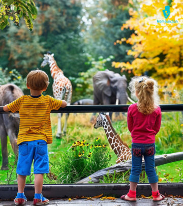 Here is a fun way to learn about different species and organisms of the animal world.