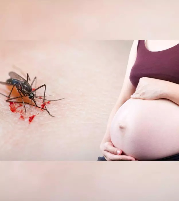 गर्भावस्था में मलेरिया के लक्षण, कारण व इलाज | Pregnancy Me Malaria Ke Lakshan