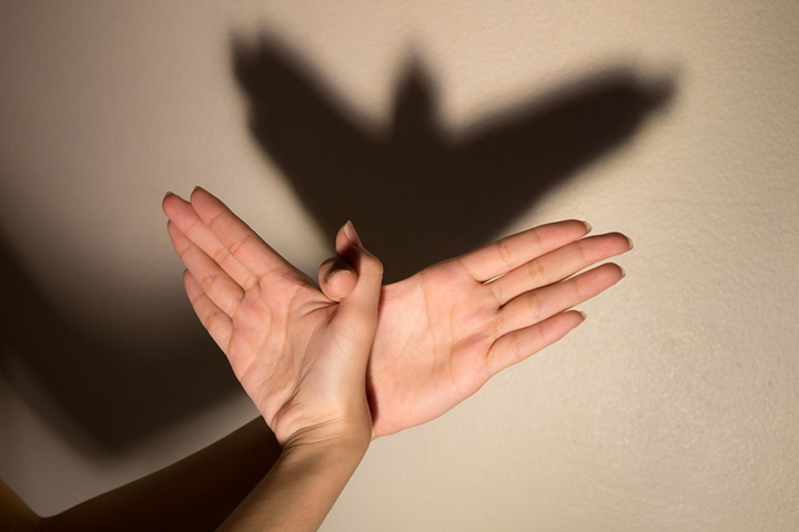 Shadow puppets hand game for kids