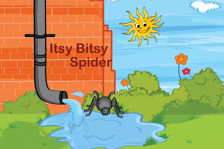 The Itsy Bitsy Spider