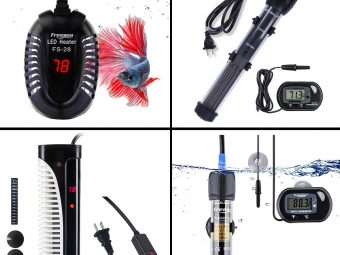 15 Best Aquarium Heaters In 2021 With Buying Guide