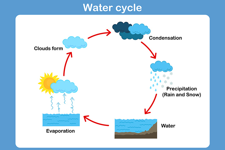 How to draw and labelled diagram of water cycle easily - step by step | Water  cycle drawing - YouTube