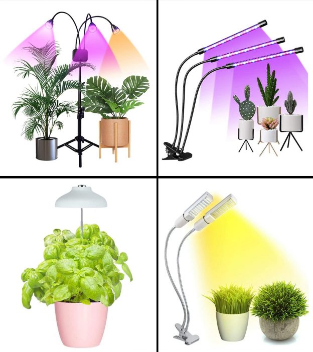 15 Best Grow Lights To Support Indoor Plant Development In 2022