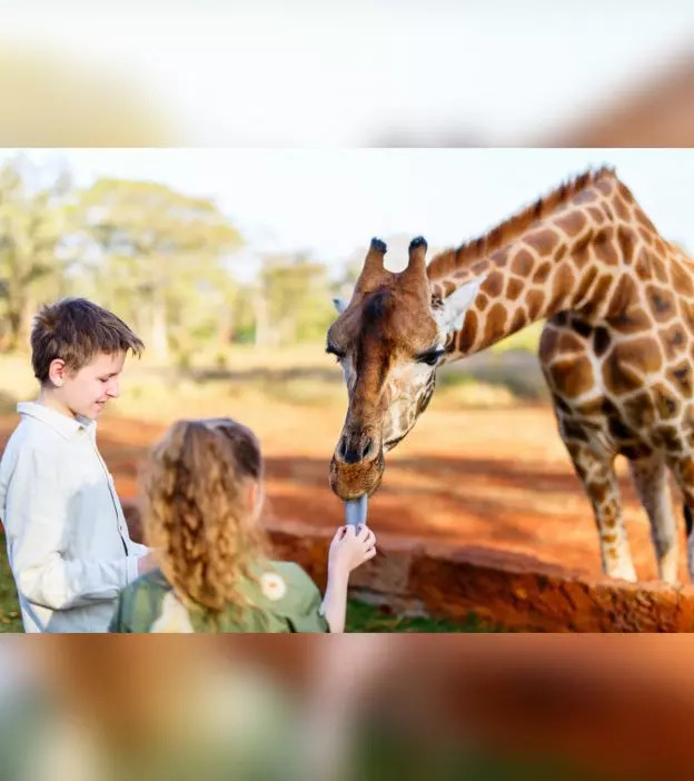 33 Interesting And Informative Facts About Giraffes For Kids