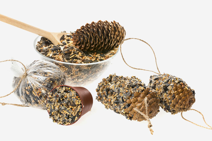 A bird feeder, earth day craft for kids