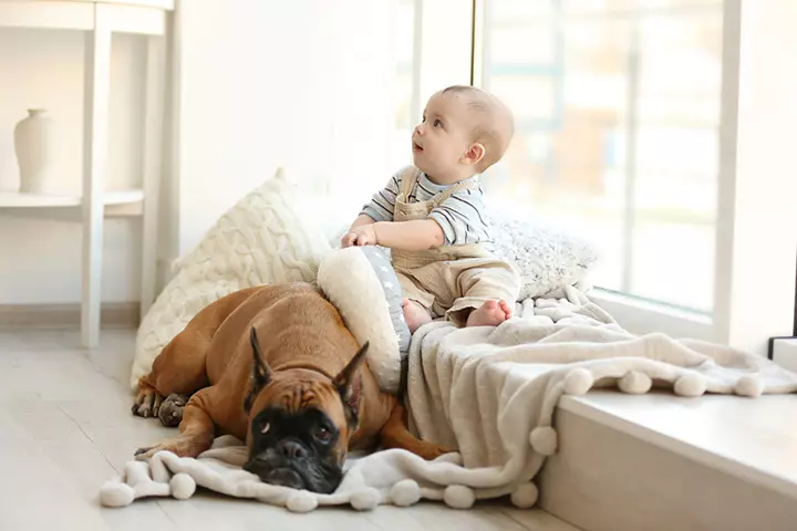 Allow Them To Sniff Your Baby’s Clothes