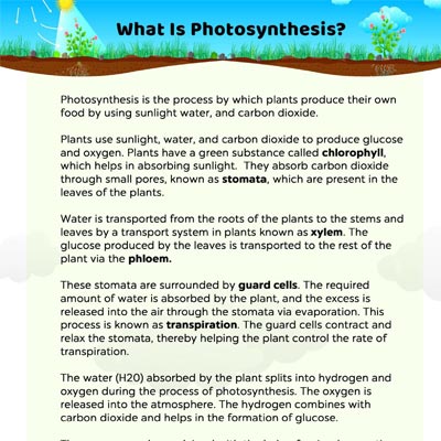 An Introduction To Process Of Photosynthesis, For Kids
