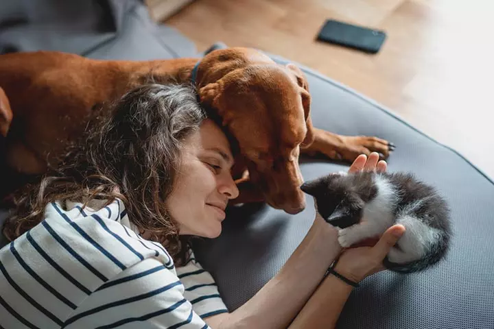 Are you a dog or a cat person?