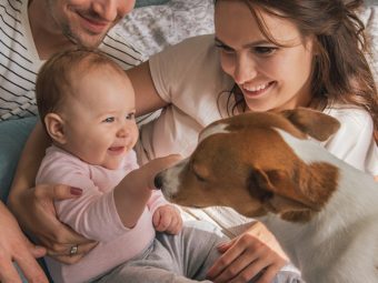Before You Bring Your Baby Home, Here’s How To Prep Your Pets