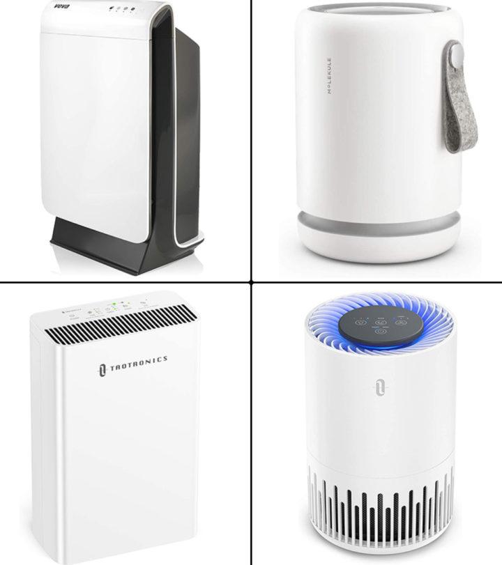 13 Best Air Purifiers For Clear Air