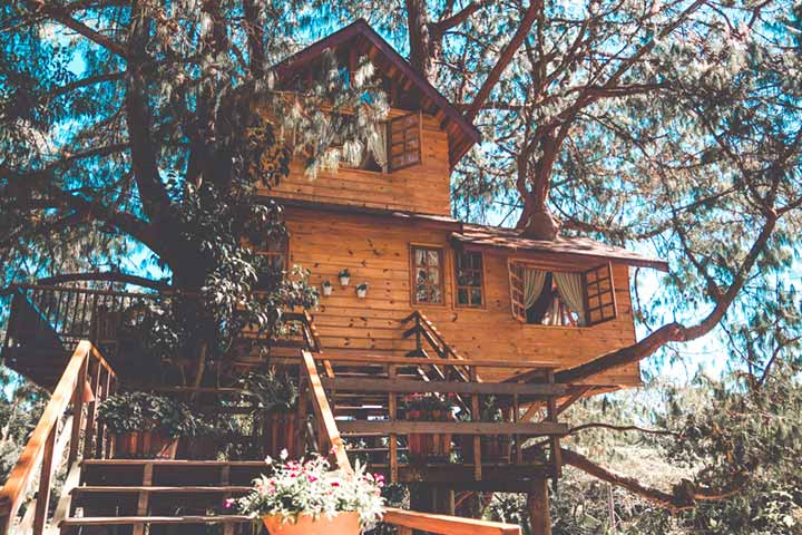 Epic treehouse, Tips for building a treehouse
