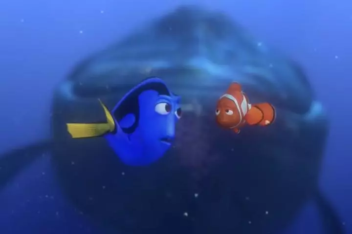 Finding Nemo