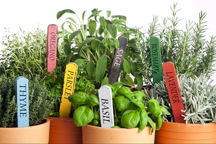 Beautiful herb garden idea for kids