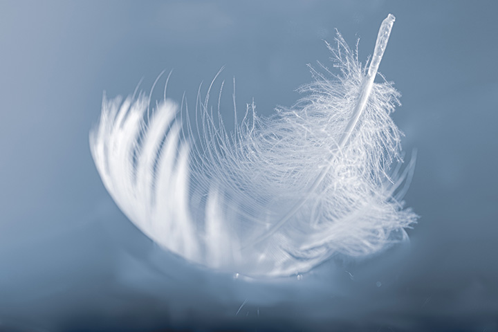 If you come across a white feather, your special someone might be thinking about you