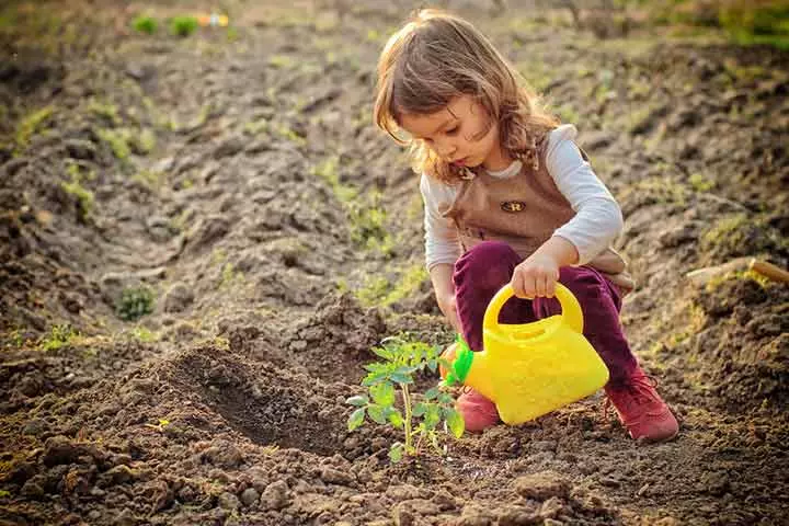 Inculcates Environmental Responsibility