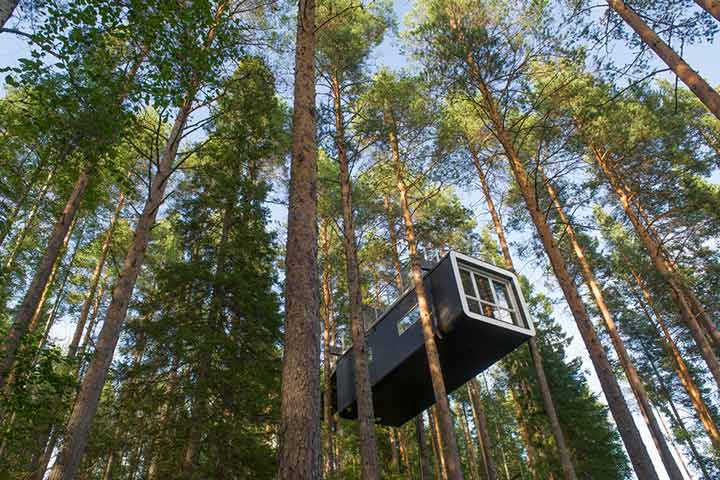 Modern treehouse, Tips for building a treehouse