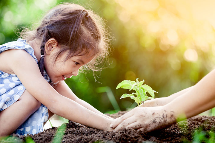 Plant a tree, earth day activity for kids