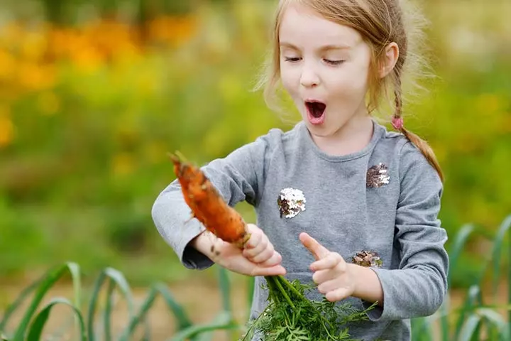 Teaches Where Food Comes From