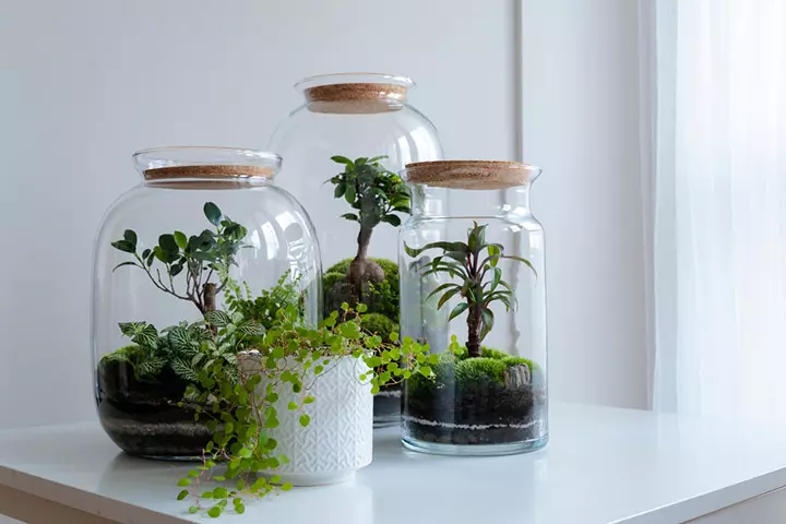 Attractive terrarium garden idea for kids