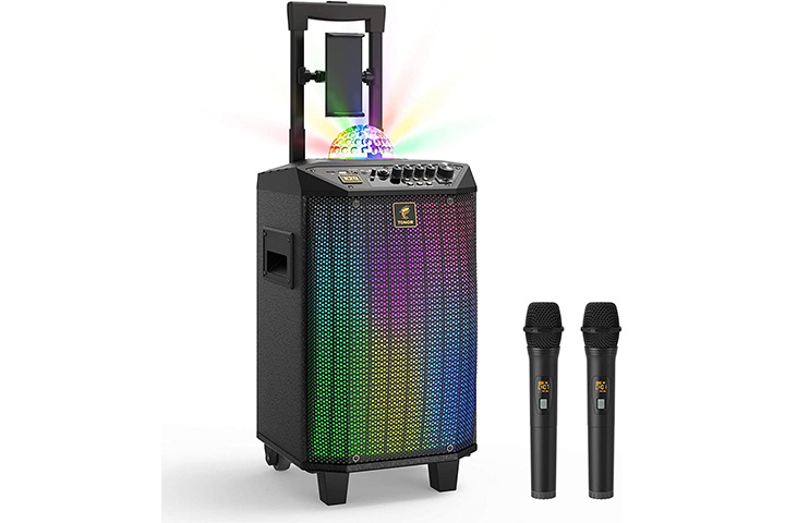 Tonor Wireless Karaoke Machine
