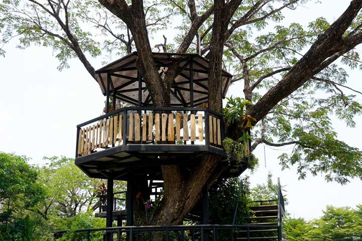 Tree deck, Tips for building a treehouse