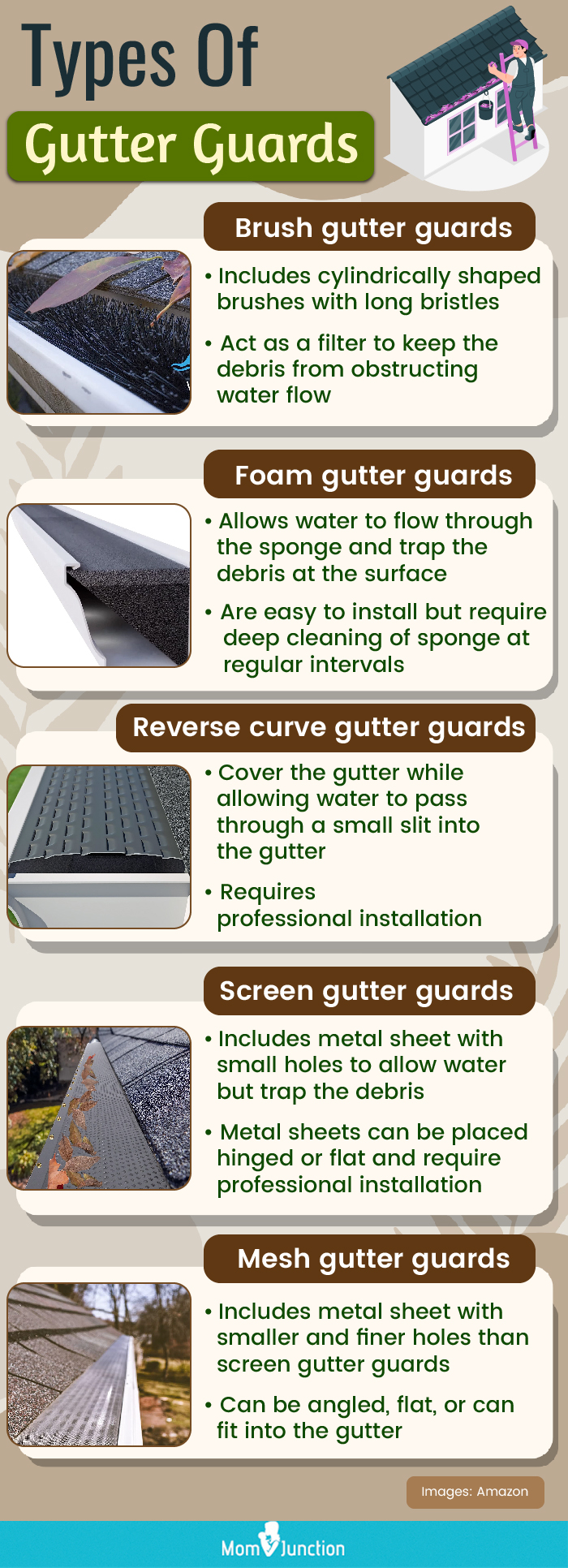 Types Of Gutter Guards (infographic)