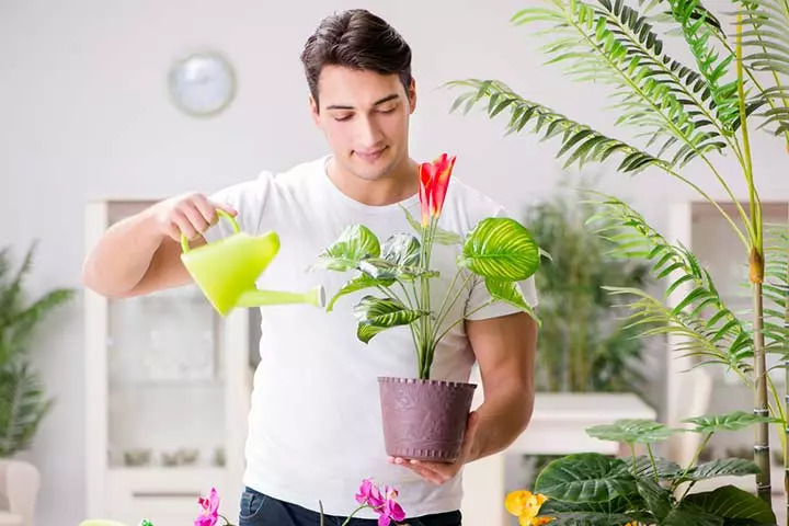 man-taking-care-plants