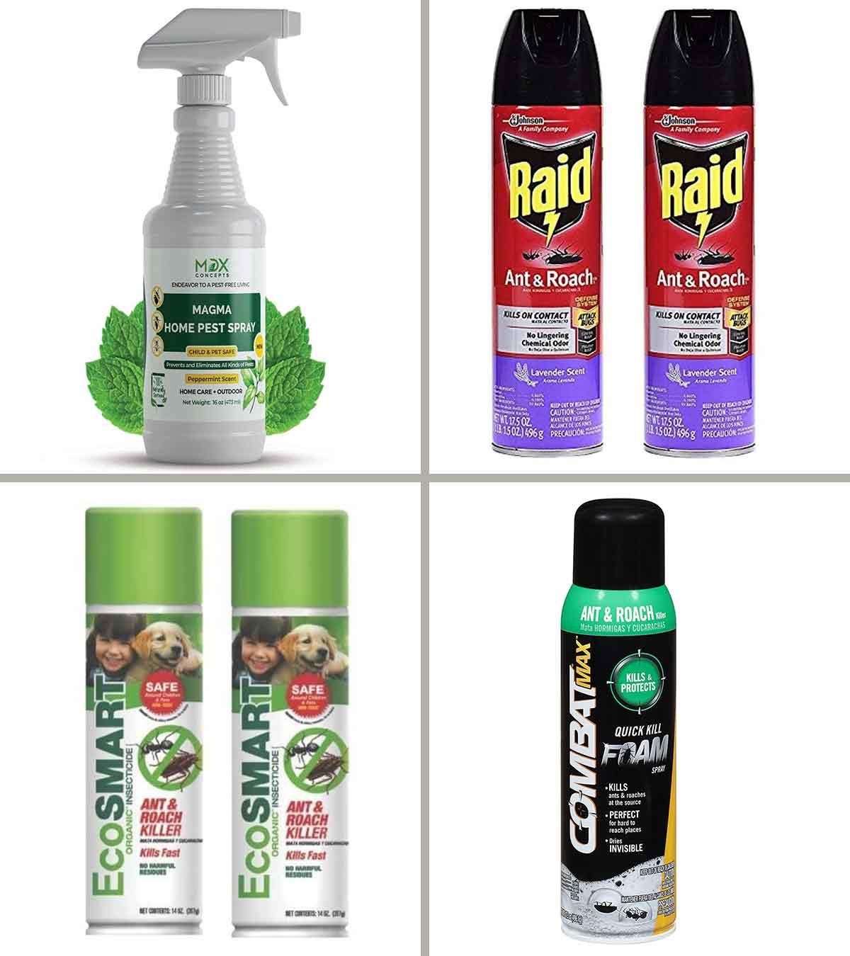 15 Best Roach Killers In 2024, As Per A Pest Control Expert