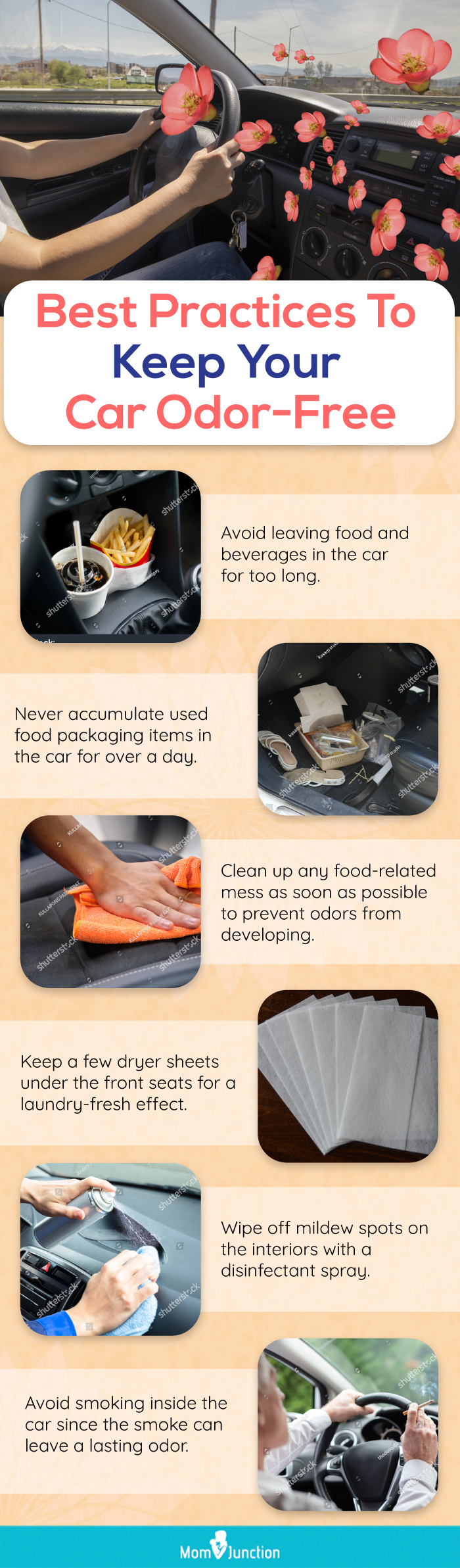 Best PracticesToKeep Your Car Odor Free (infographic)