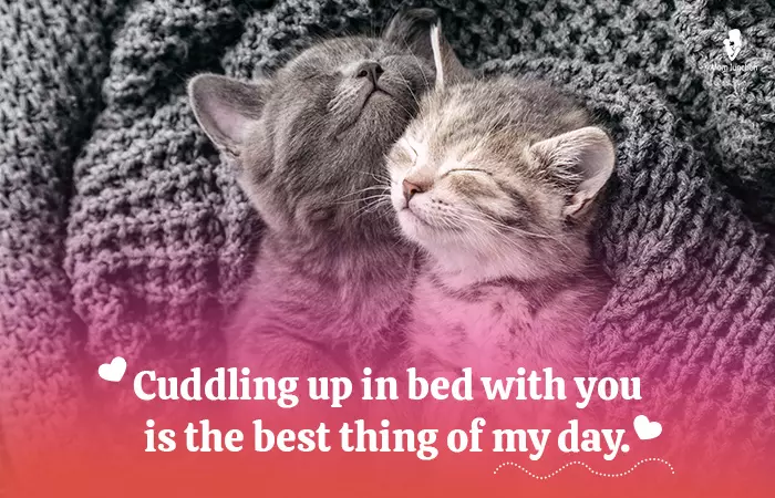 Cuddling up in the bed with you