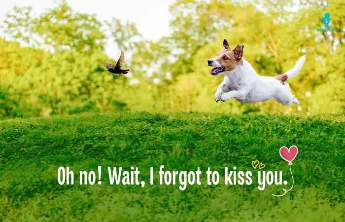 Cute Memes For Her - I forgot to kiss you