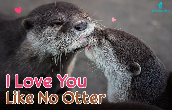 I Love You Like No Otter