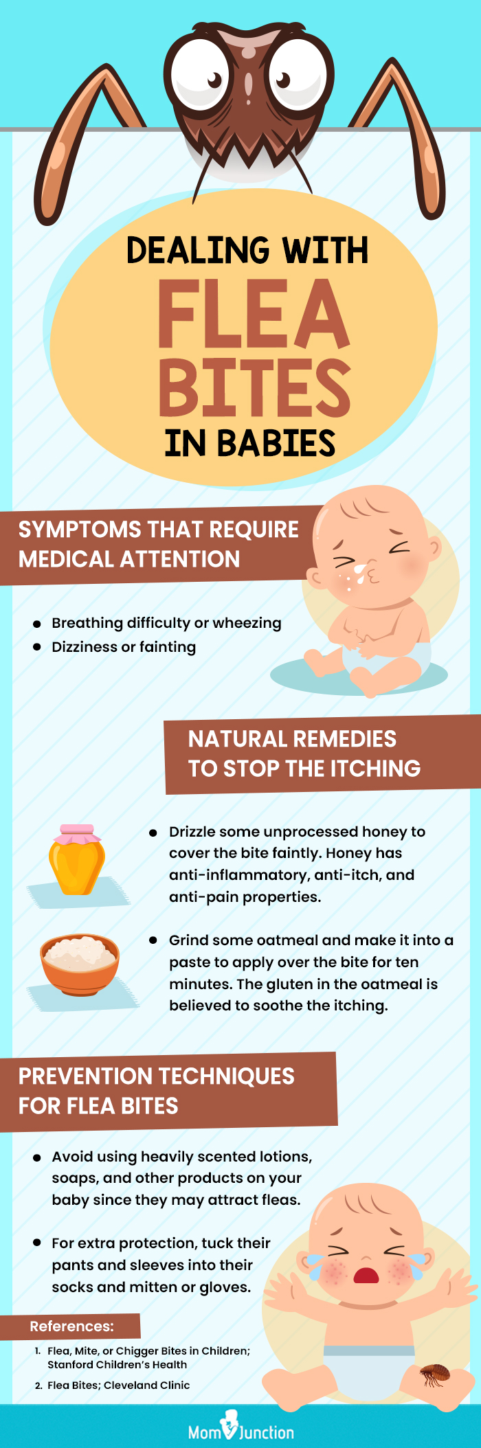 tips to deal with flea bites in babies (infographic)