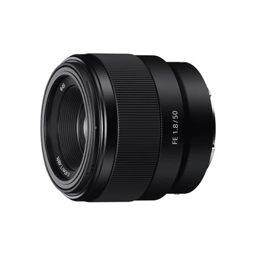 11 Best Lenses For Low Light In 2024 MomJunction