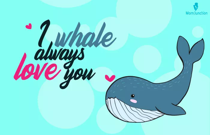 i whale always love you